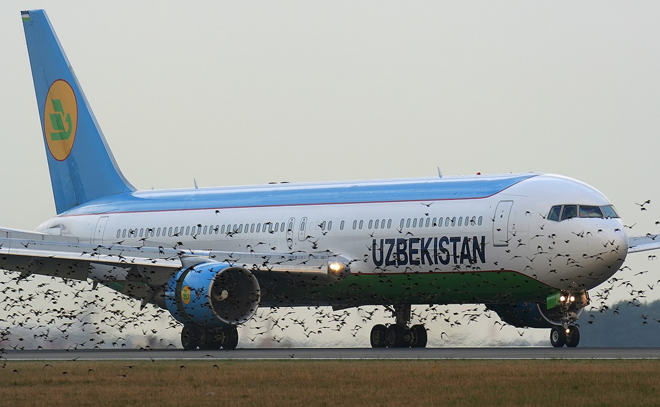 Самолет Uzbekistan Airways приземлился в Стамбуле с птицей в двигателе