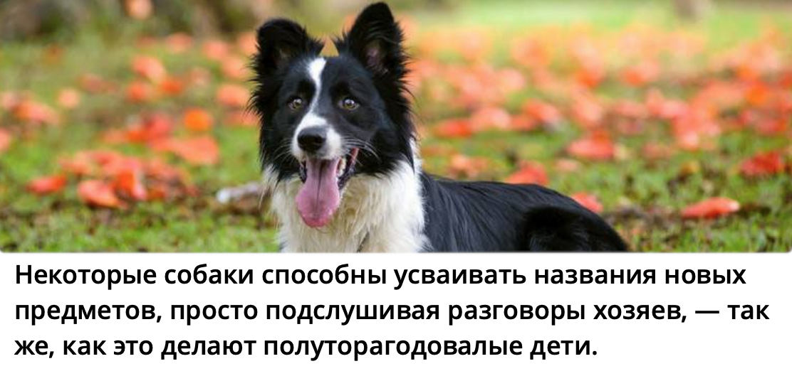 Перейти в Telegram-канал Научный репортёр