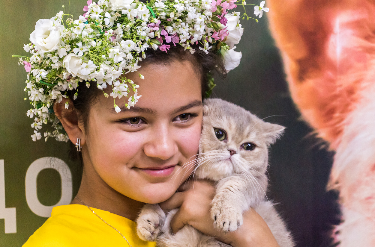 Кошки как люди