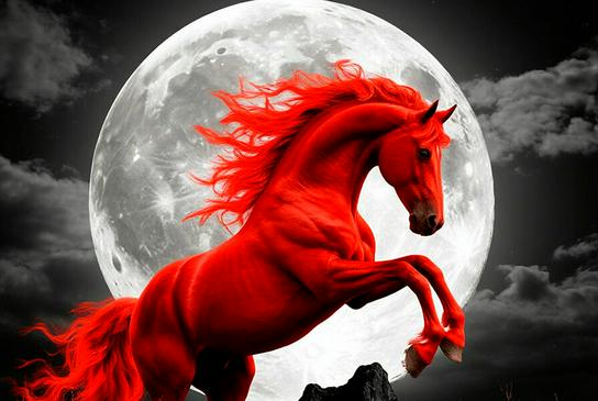 Огненная, красная — и прекрасная